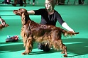 Crufts2011 051